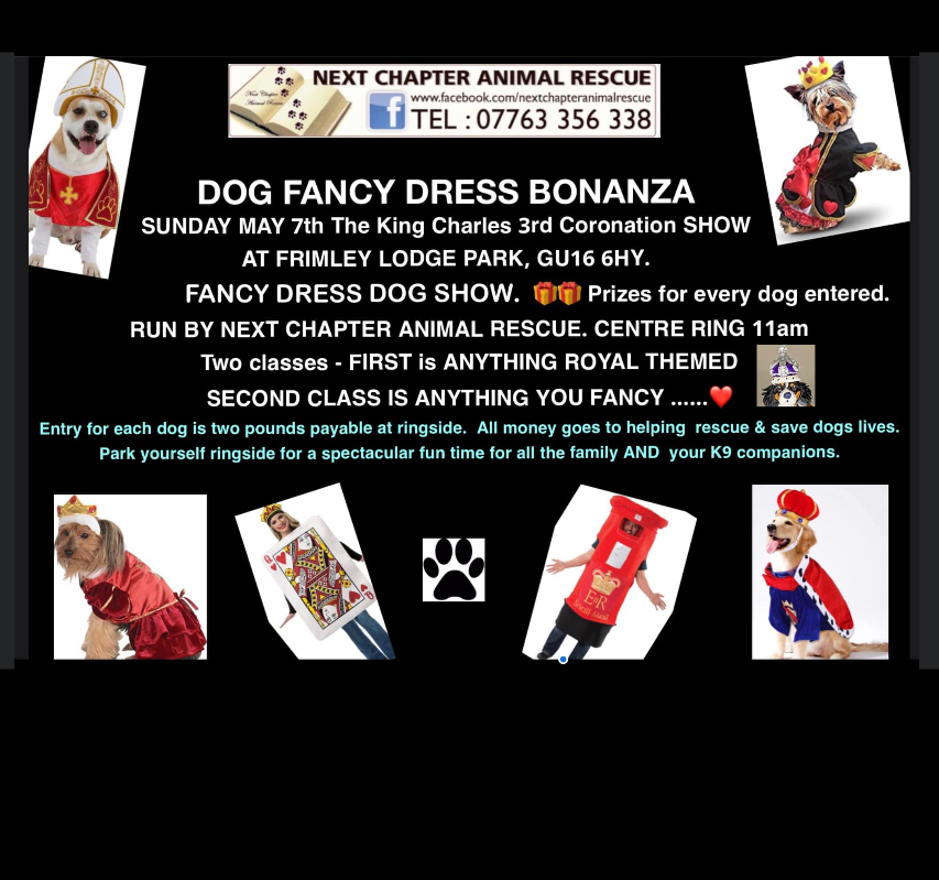 Charity Fancy Dress Dog Show at Frimley Lodge Park Coronation