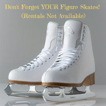 Learn to Skate Returns In September