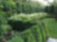 IMG_7071.jpeg