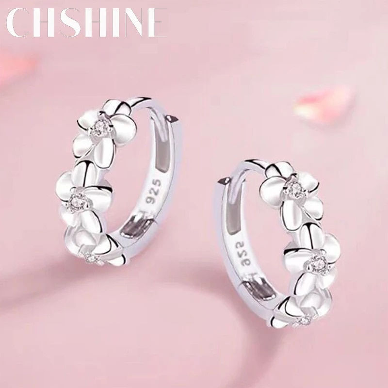 925 Silver Needle Earrings: Women's Wedding Fashion Crystal Zircon Studs