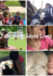 Fostering saves lives.jpeg
