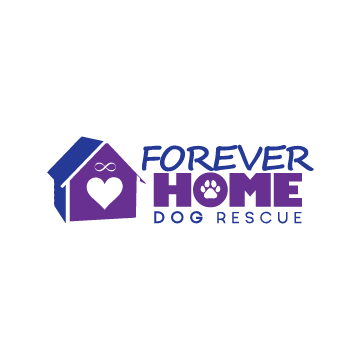 Forever home dog rescue clearance