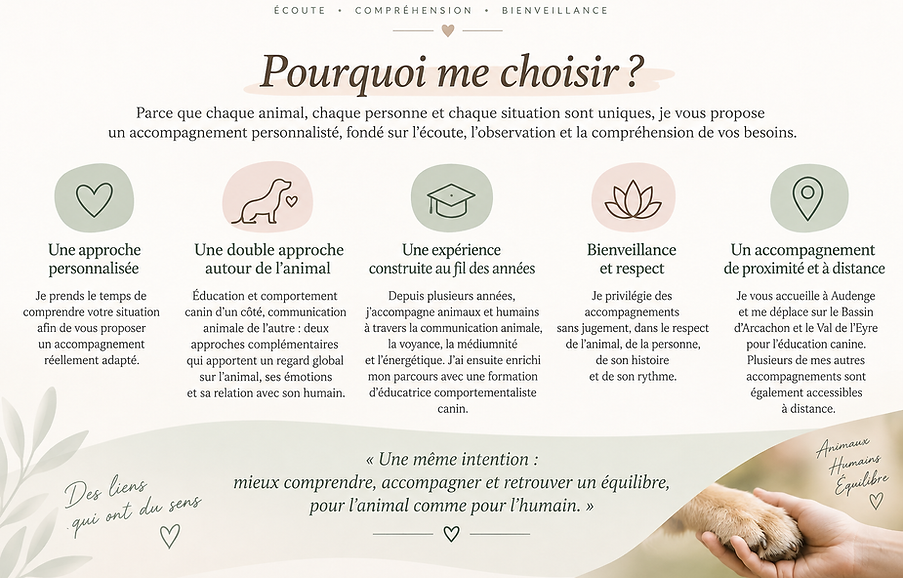 Mes accompagnements.png