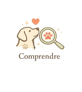 comprendre.png