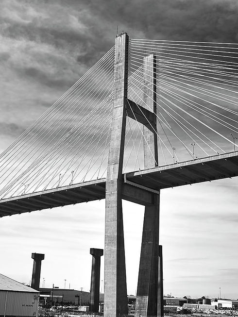 talmadge-bridge-at-savannah-black-and-white-two-ann-powell.jpg