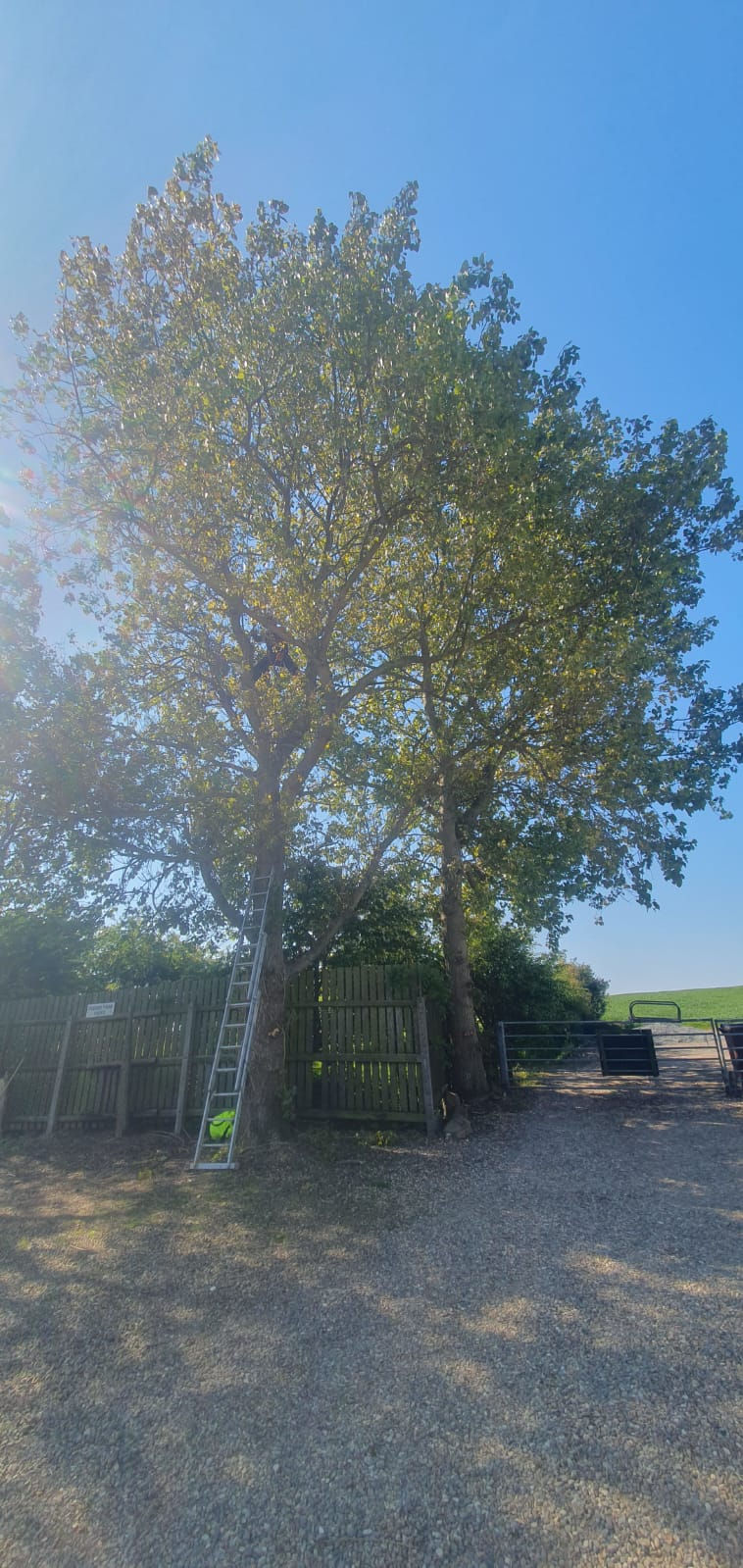 WhatsApp Image 2025-05-14 at 11.43.13_eaa43a68.jpg