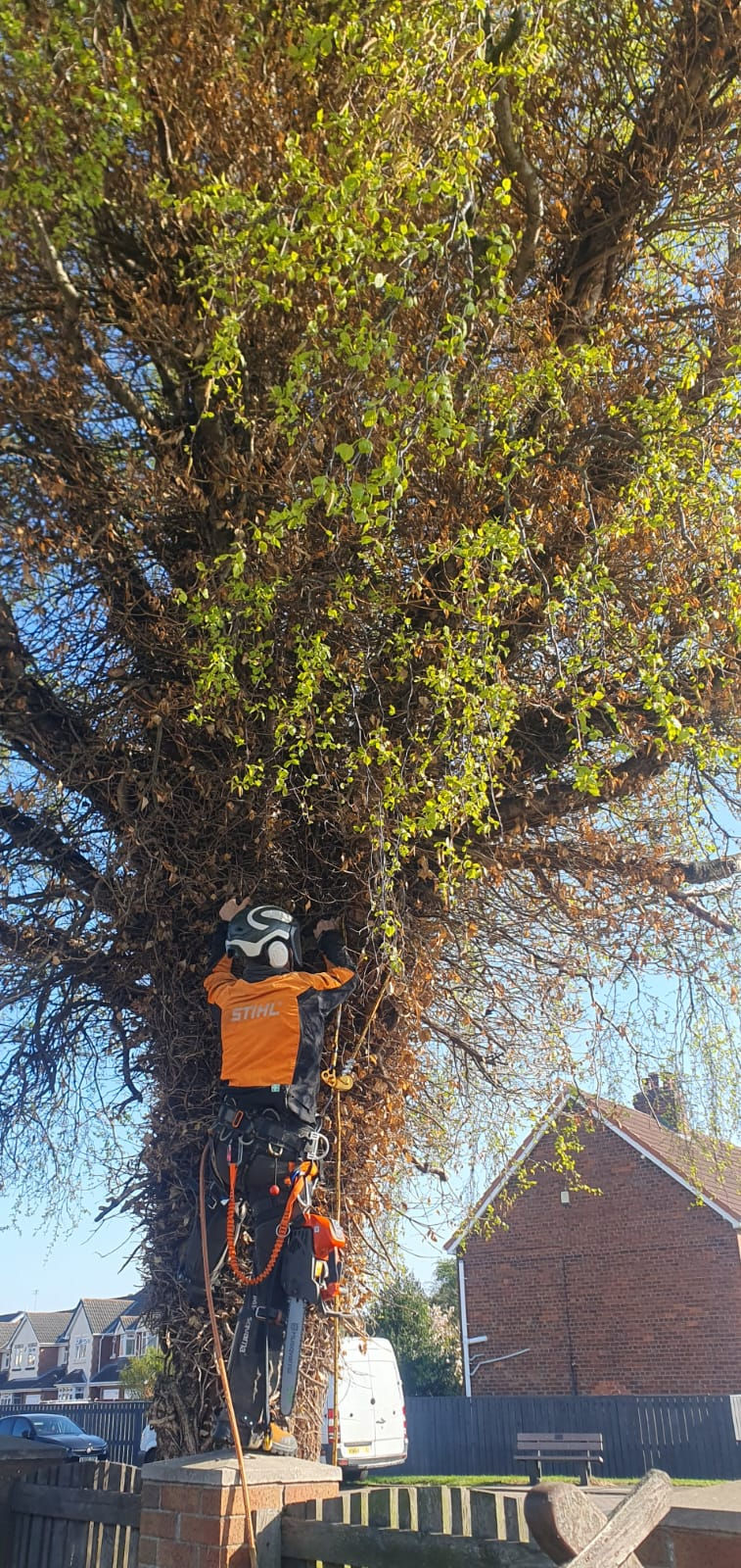 WhatsApp Image 2025-05-14 at 11.44.33_663d8851.jpg