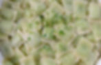 ravioles-bio.jpg