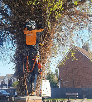 WhatsApp Image 2025-05-14 at 11.44_edited.jpg