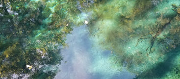 5D Healing Meditation in Nature by Yana Kalai