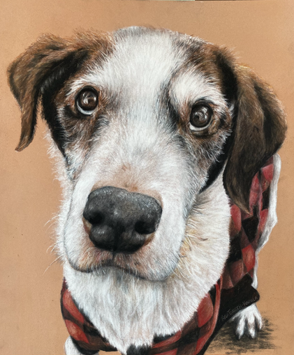 realistic drawing of a dog in a plaid sweater