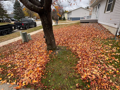 Spring Cleanup in Rochester MN 