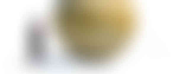 20ft Inflatable Planet Venus