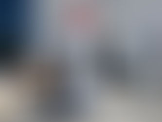 10ft Giant Inflatable Rosa Brothers Milk Bottle Replica