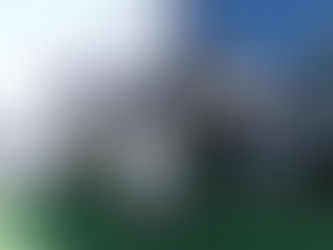 20ft Large Inflatable Cow