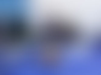 Inflatable Tiger Costume