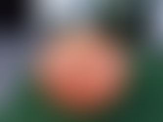 Inflatable Pumpkins No Faces