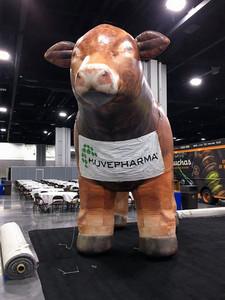 Giant Inflatable Cow Display on Trade Show Floor With Branding