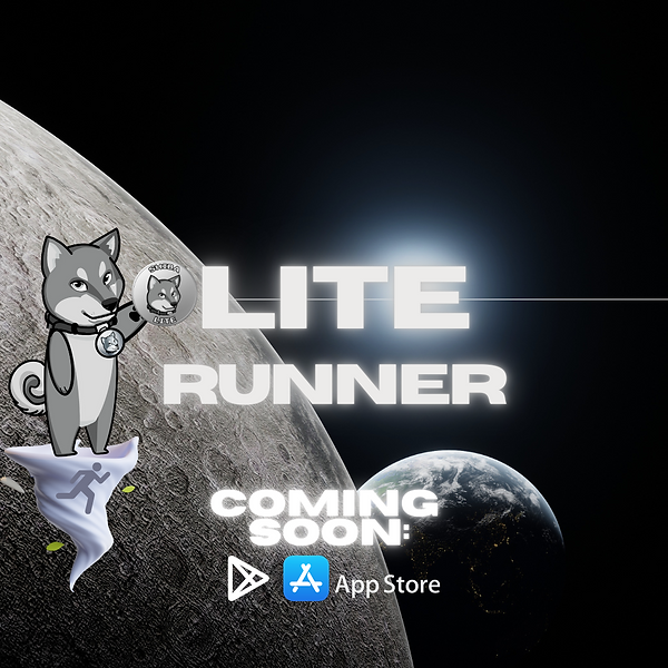 LITE RUNNER.png