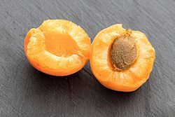 גוגו סמית' ושות' השו"ת