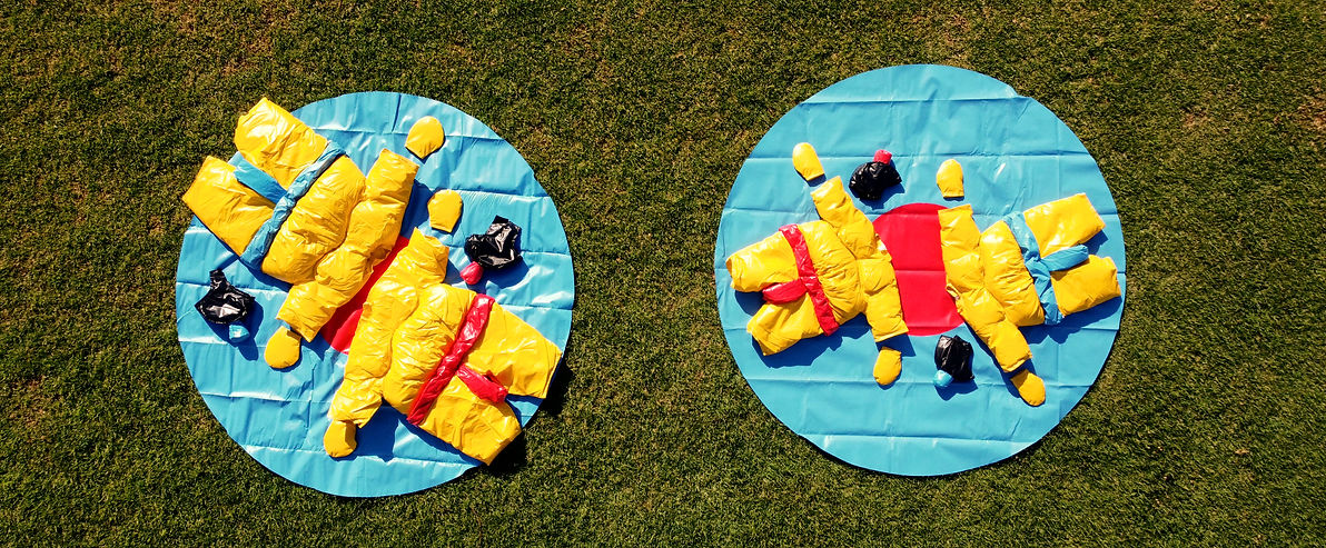 Aerial sumo kit for both adults and kids_edited.jpg