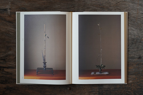 初心の花 | 拙考Stillmind