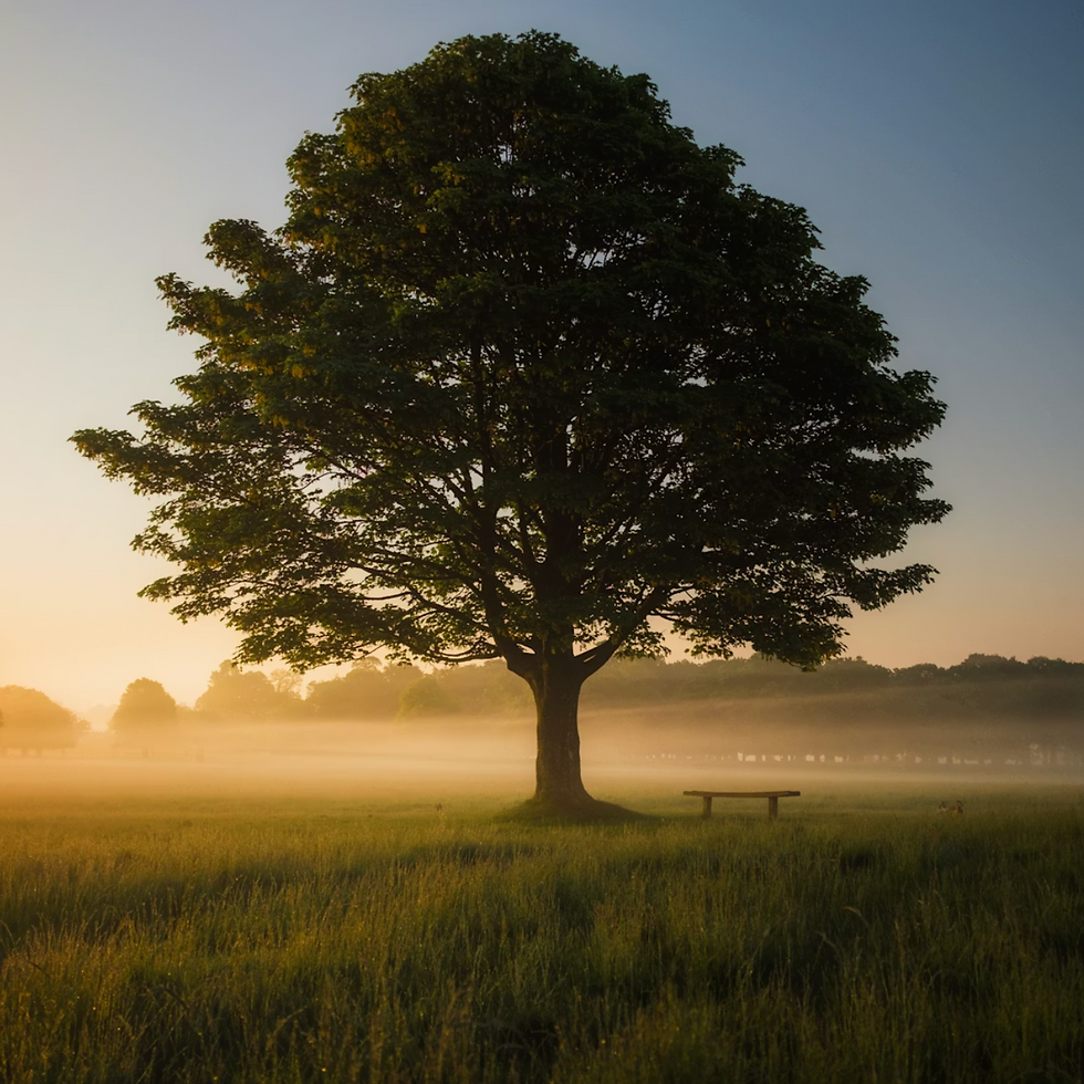 Why Choose Mindfulness