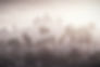 Sunset Cityscape View_edited_edited.jpg