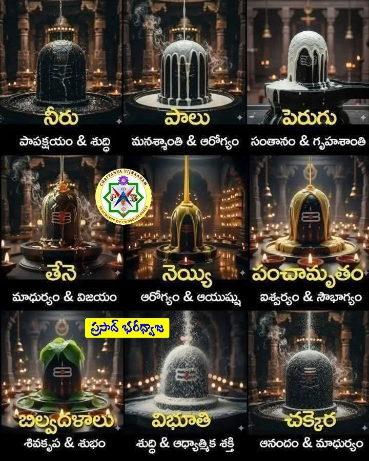 వివిధ శివ లింగాభిషేకాలు - వాటి ఫలితాలు Various Shiva Linga Abhishekams - Their Results