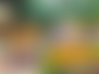 నరనారాయణ అవతారాలు - బదరీనాథుని ఆవిర్భావం - బదరీనాథ్ క్షేత్రం. Nara-Narayana Incarnations - The Manifestation of Badrinath - The Badrinath Shrine.