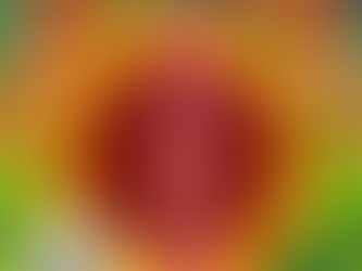 సమ్మక్క సారలమ్మ ఆశీస్సులతో మేడారం జాతర Medaram Jathara