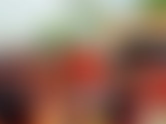 హనుమాన్ శోభాయాత్ర కార్యక్రమము బాసర  Hanuman Shobhayatra Procession at Basara  (a YT Short)