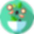 Food photograhy preparation icon