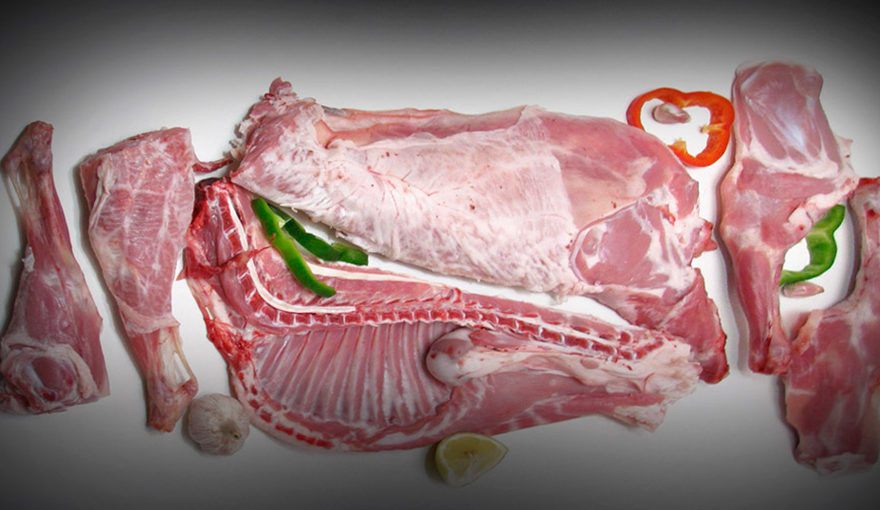 cabrito de leche en presas.jpg