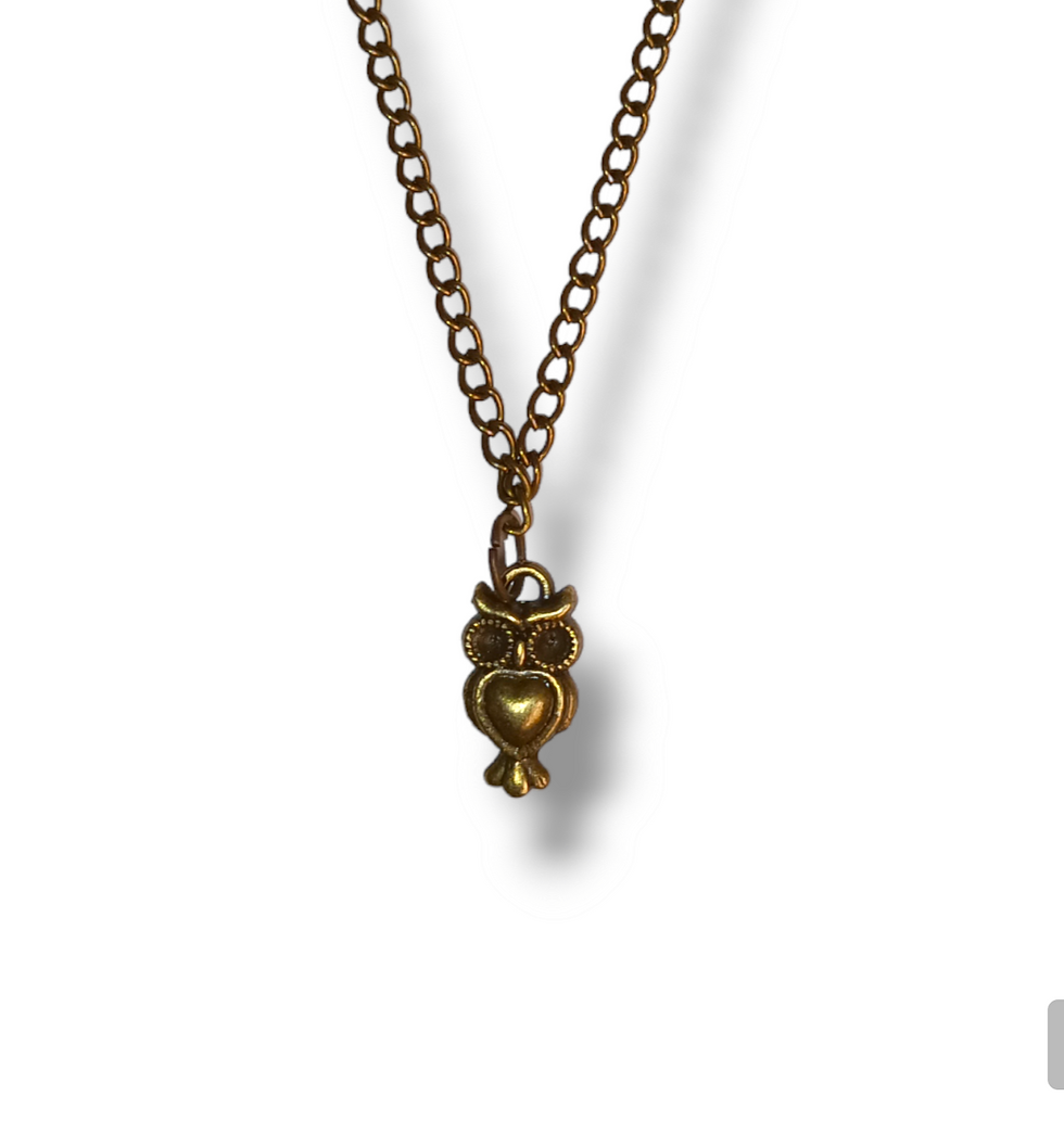 Bronze Owl Necklace