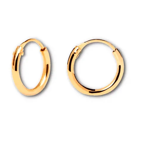 Golden Sleeper Hoop Earrings