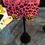 Thumbnail: Betsey Johnson Owl Earrings