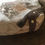 Thumbnail: Coach Shoulder Handbag