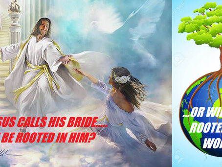 "Are You Rooted In Jesus, Or Rooted In The World!?" -Kathy - Confirmed In Post By Pieter Kirstein!!