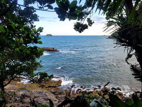 Ecoturismo pode impulsionar preservação ambiental em Guarujá