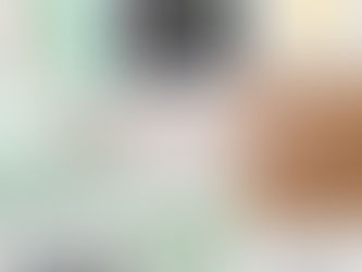 PRODUCTS WE HAVE USED DAILY IN THE FIRST 15 MONTHS 