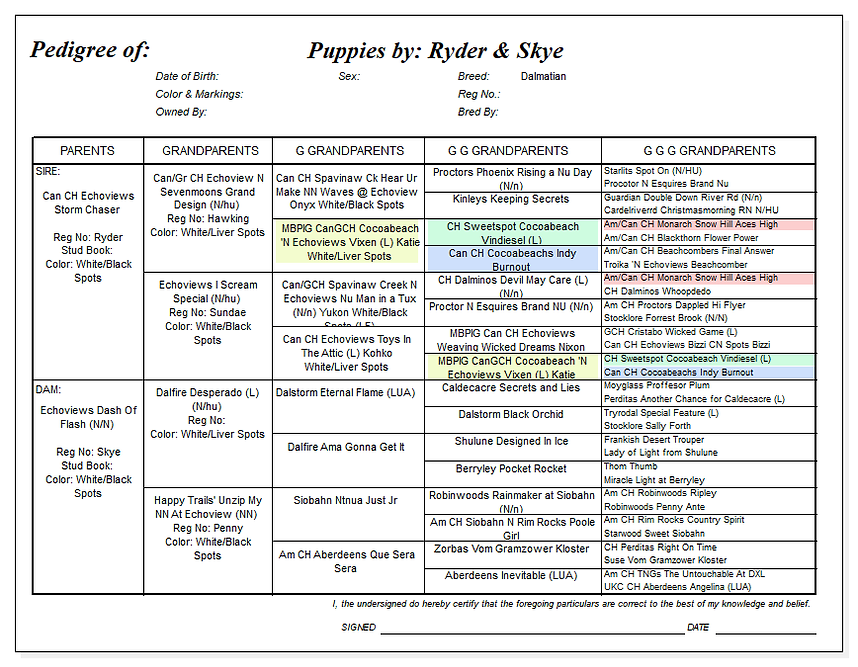 Pedigree of Ryder & Skye.png