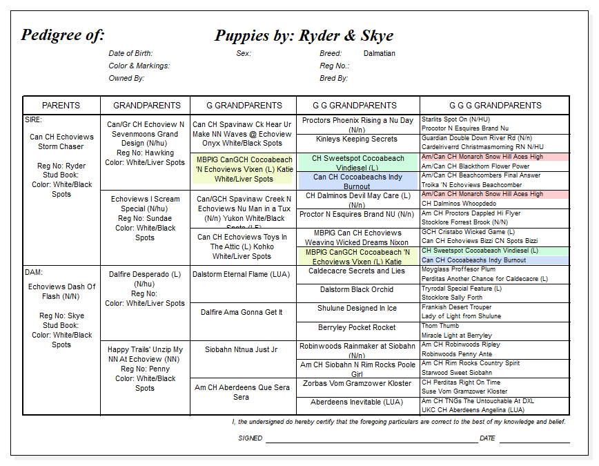 Pedigree of Ryder & Skye.png