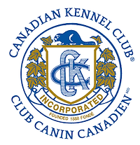 ckc logo.png