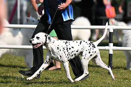 hetherington EKC 2024 Aug-9198-Edit.jpg