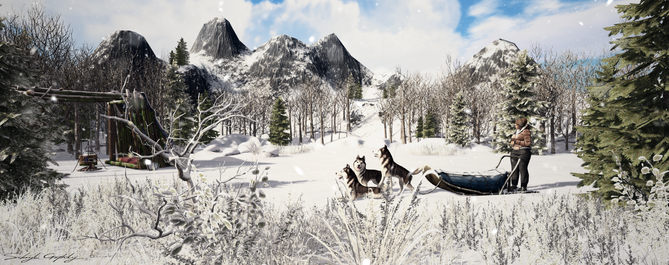 The Trapper