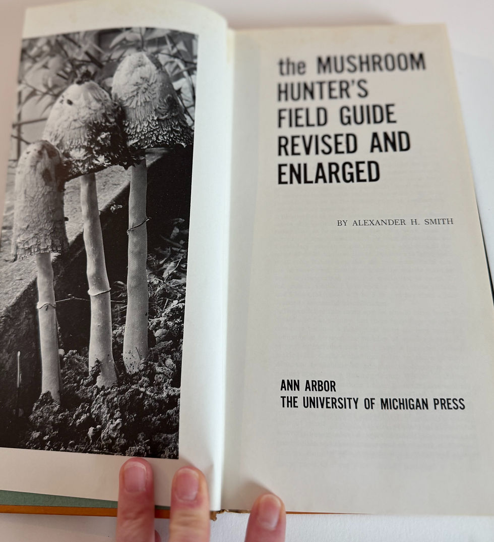 Thumbnail: The Mushroom Hunter's Field Guide. Vintage Book.