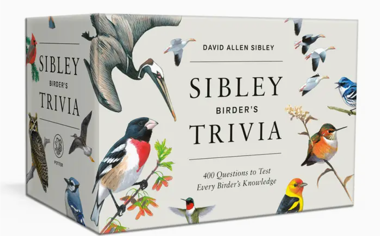 Sibley Birder's Trivia