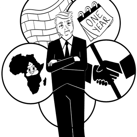 Trump's presidency: a year in review