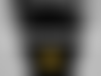 Nick Gray presenting IGU Global’s human-led leadership and emotional intelligence framework on connection and presence